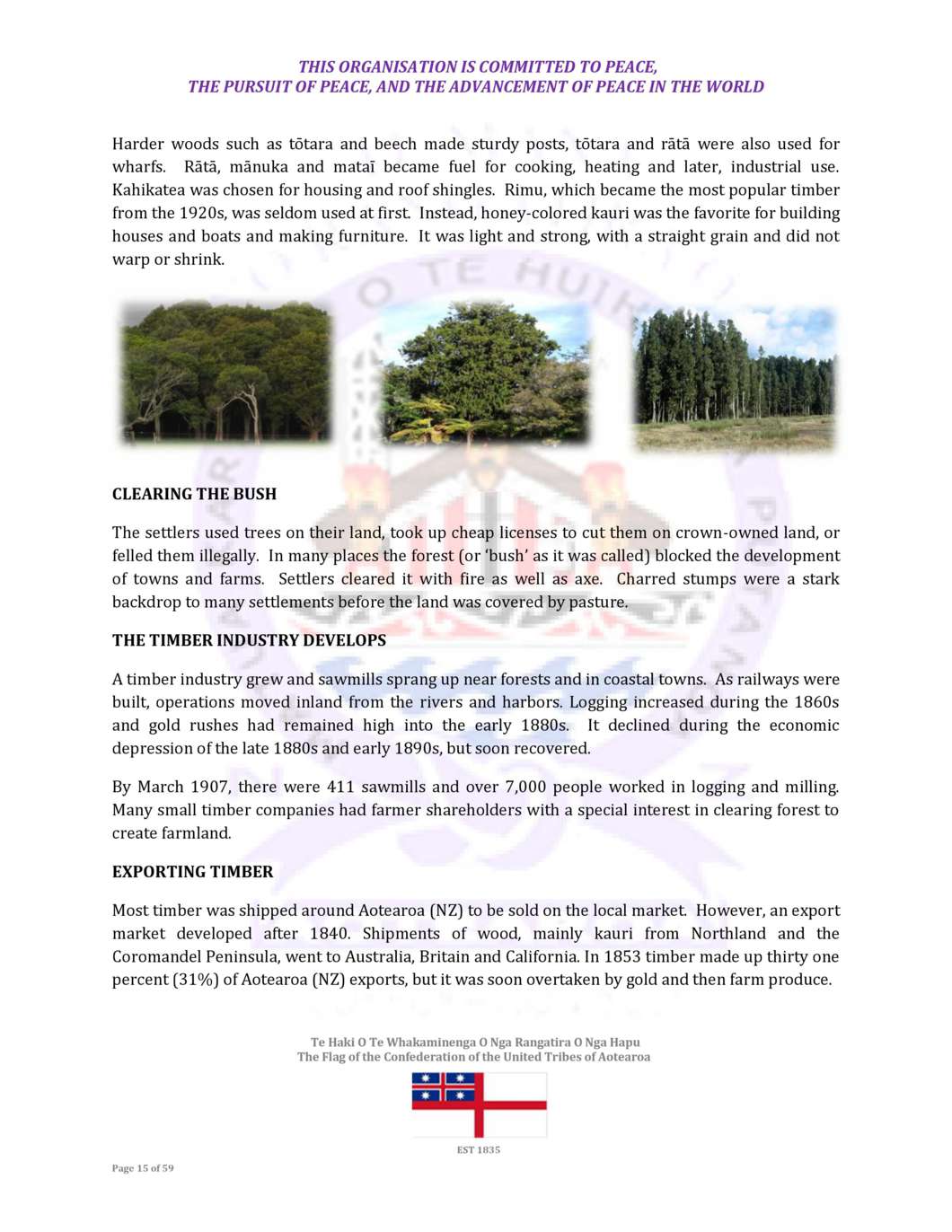 Aotearoa Sustainable Forest Business Plan