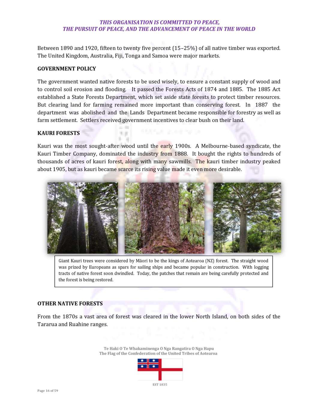 Aotearoa Sustainable Forest Business Plan